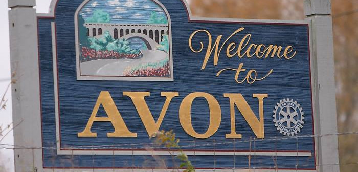 What are the small business in avon indiana