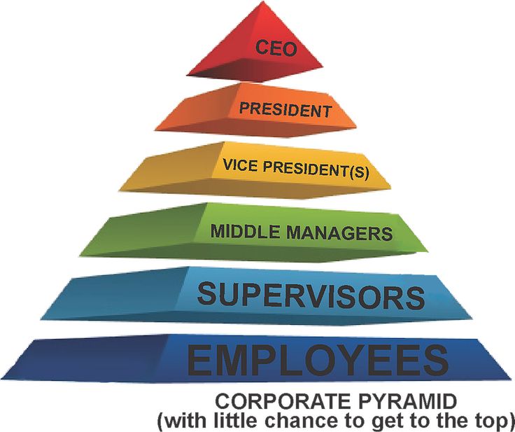 A business structure that operates on a pyramid scheme