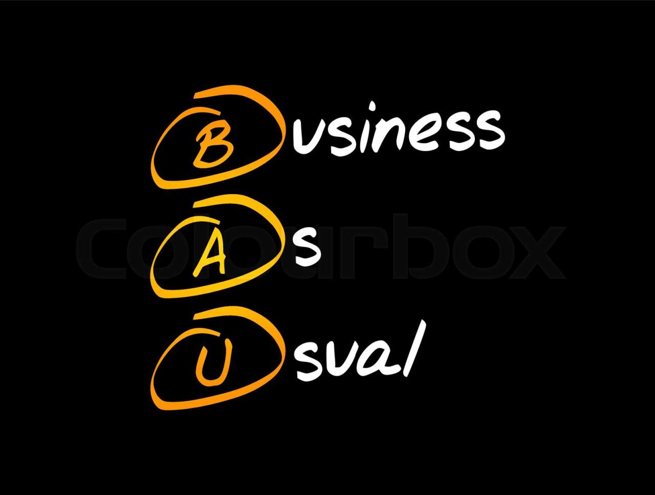 What is bau in business