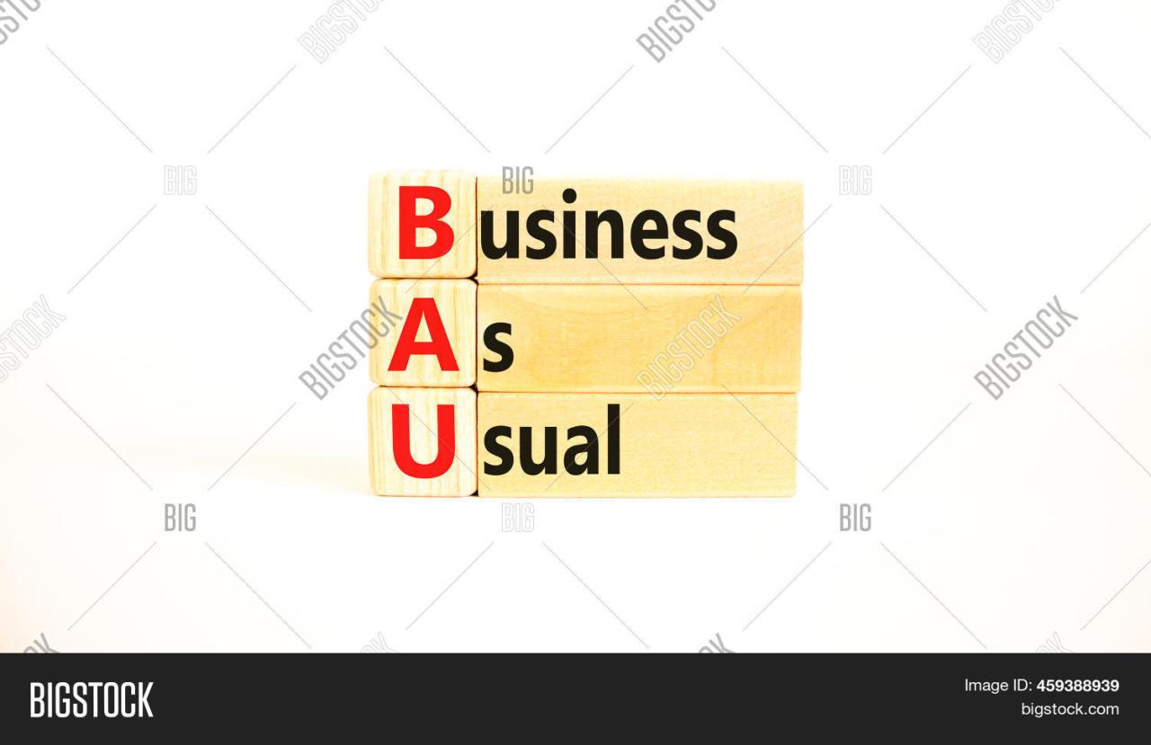 What is bau in business