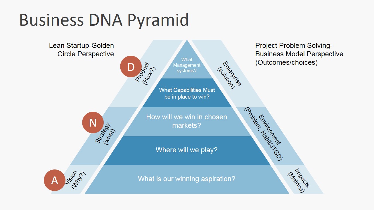 Dna organizational principles adn empresarial principios organization personality