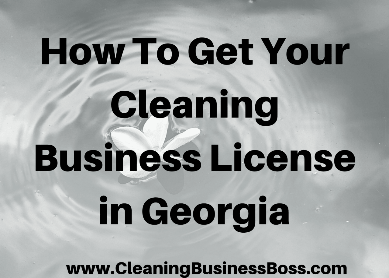 How to start a cleaning business in georgia