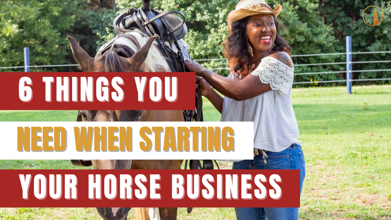 How to start a horse boarding business