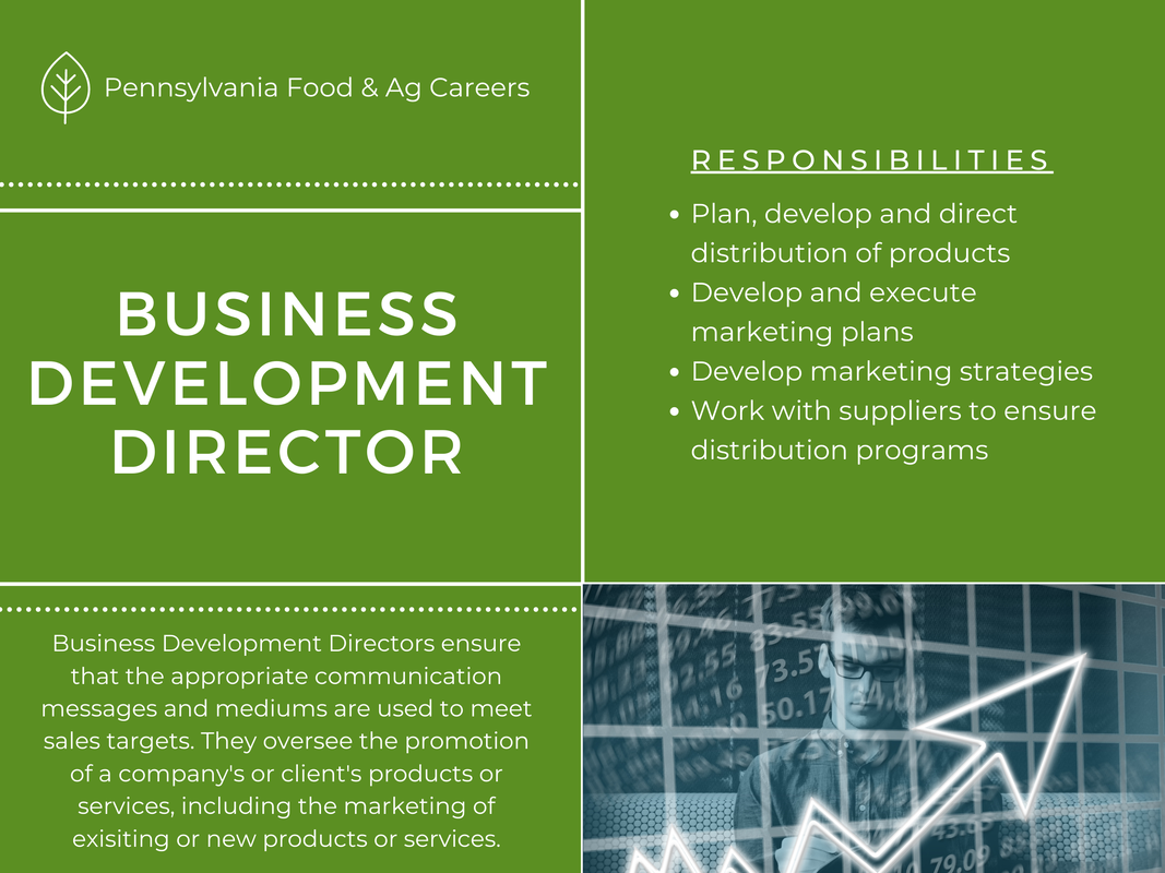 What does a director of business development do