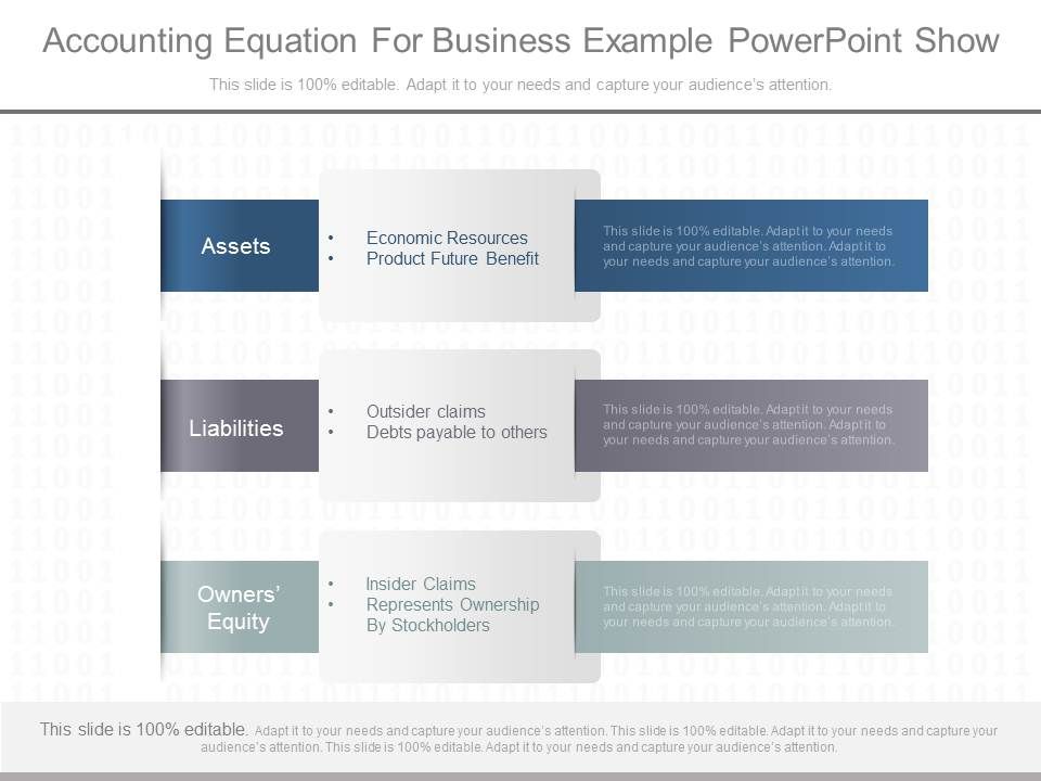 Which businesses use an accounting equation