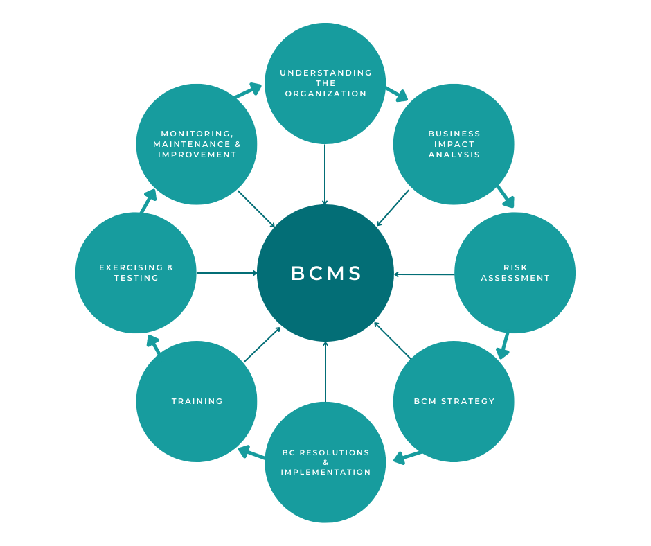 Where can we find tcs process for business continuity management