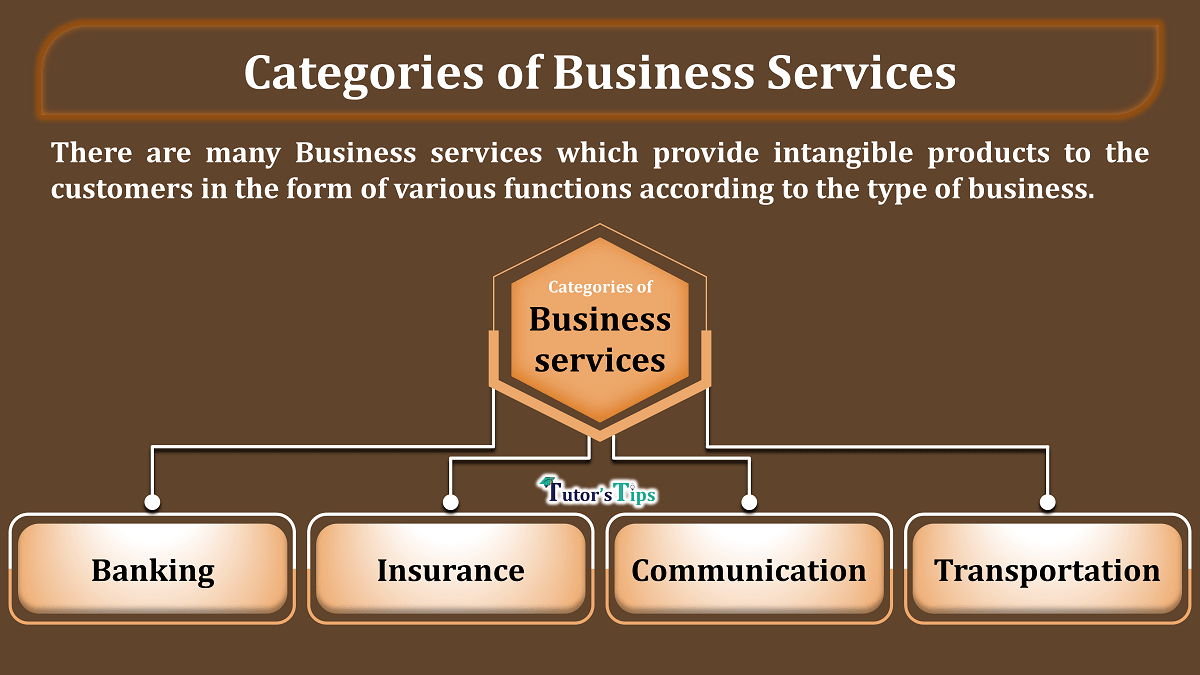 What kind of business category is a care business