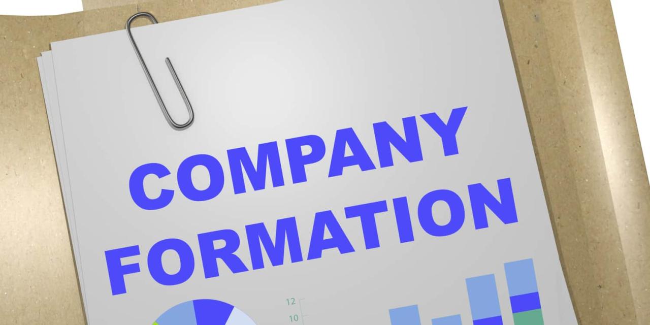 What is a business formation document