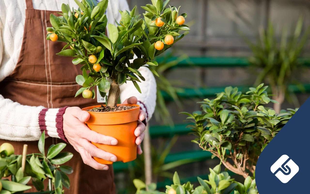 How to start your own gardening business