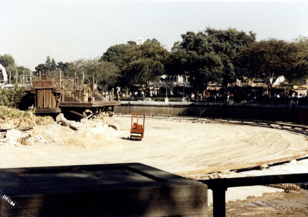 Disneyland labor 1984 day