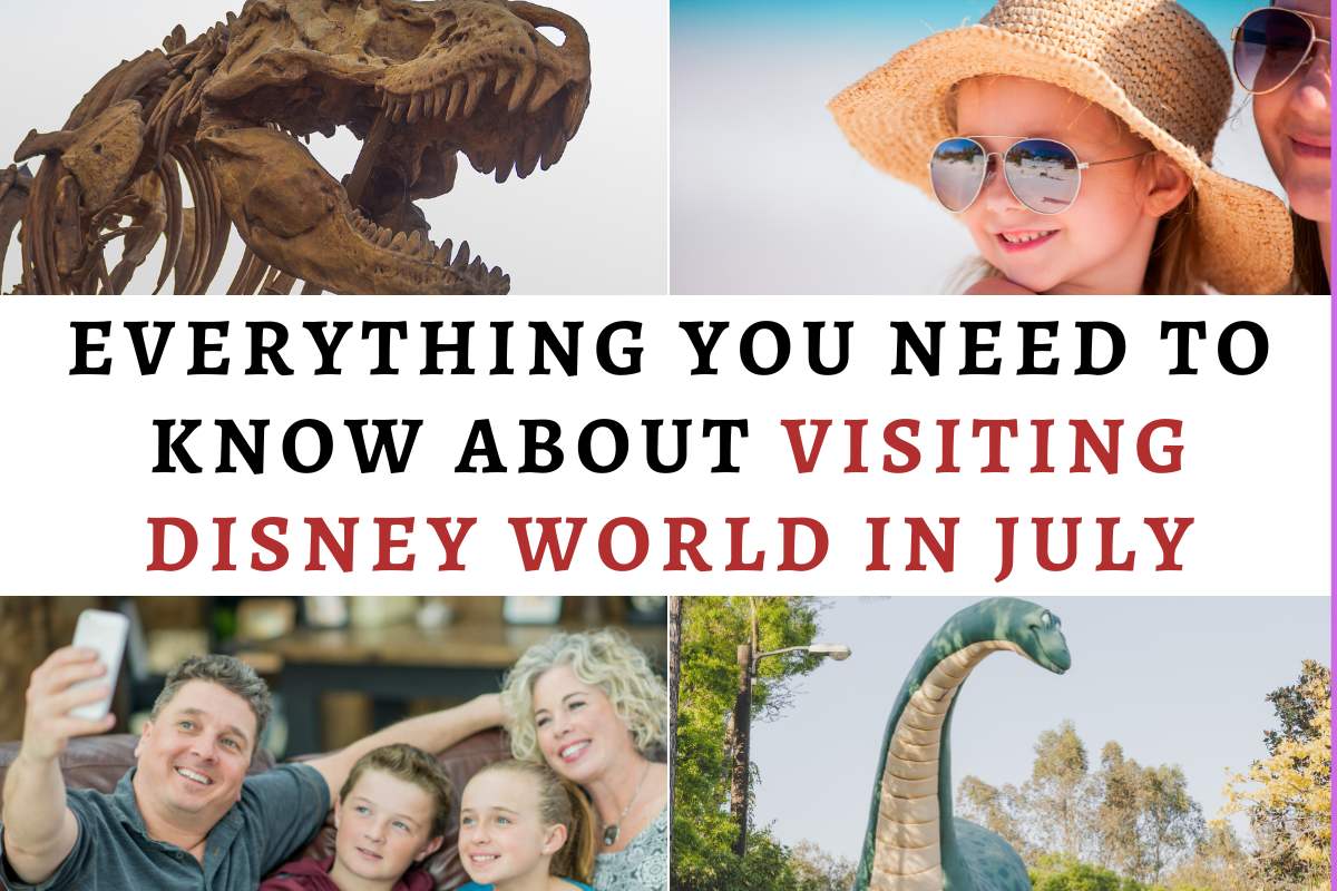 How busy is disney in july