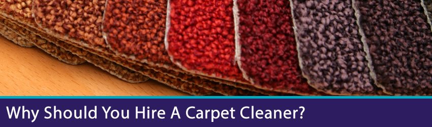 Is carpet cleaning a good business