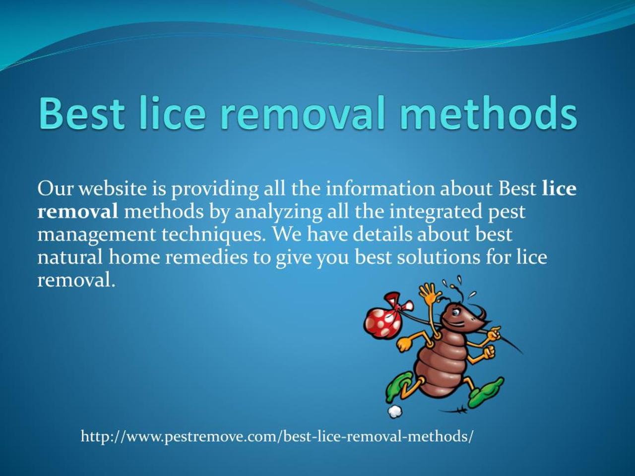 How to start a lice removal business