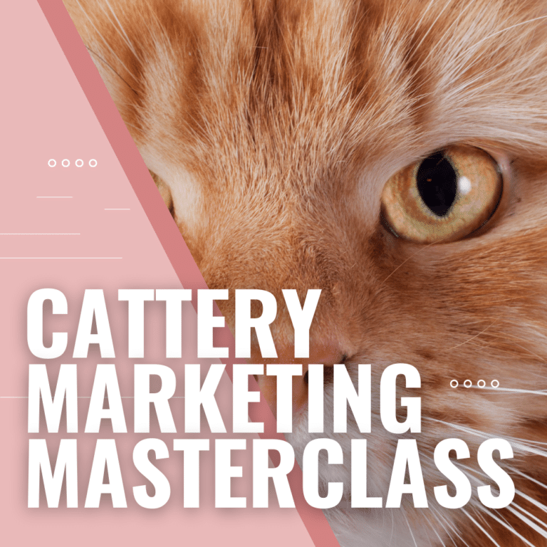 What is a cattery business