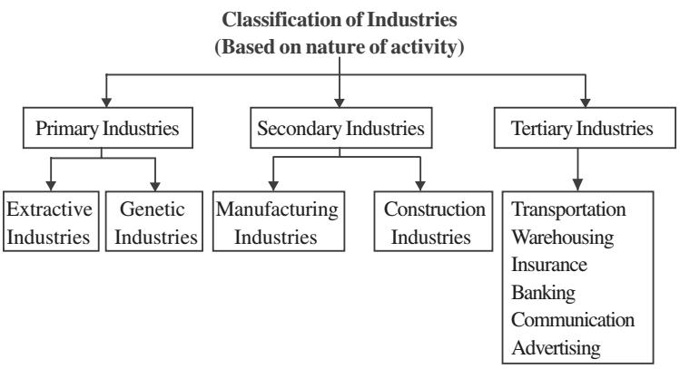 What is business categories