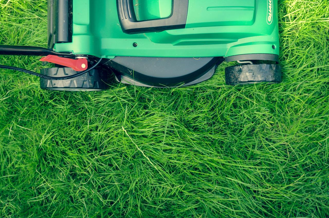 Do i need an llc for lawn care business