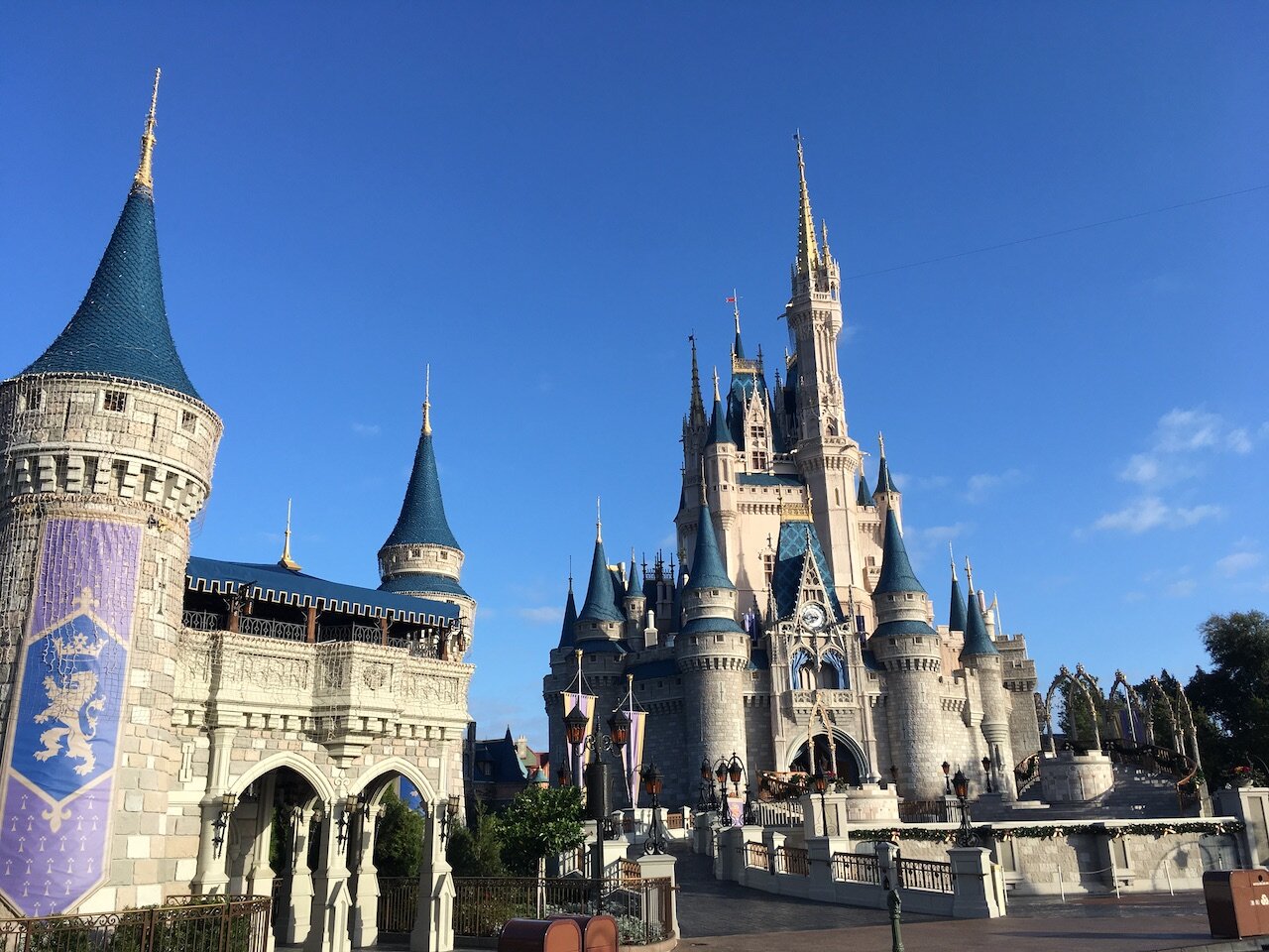 Is disney world busy in january