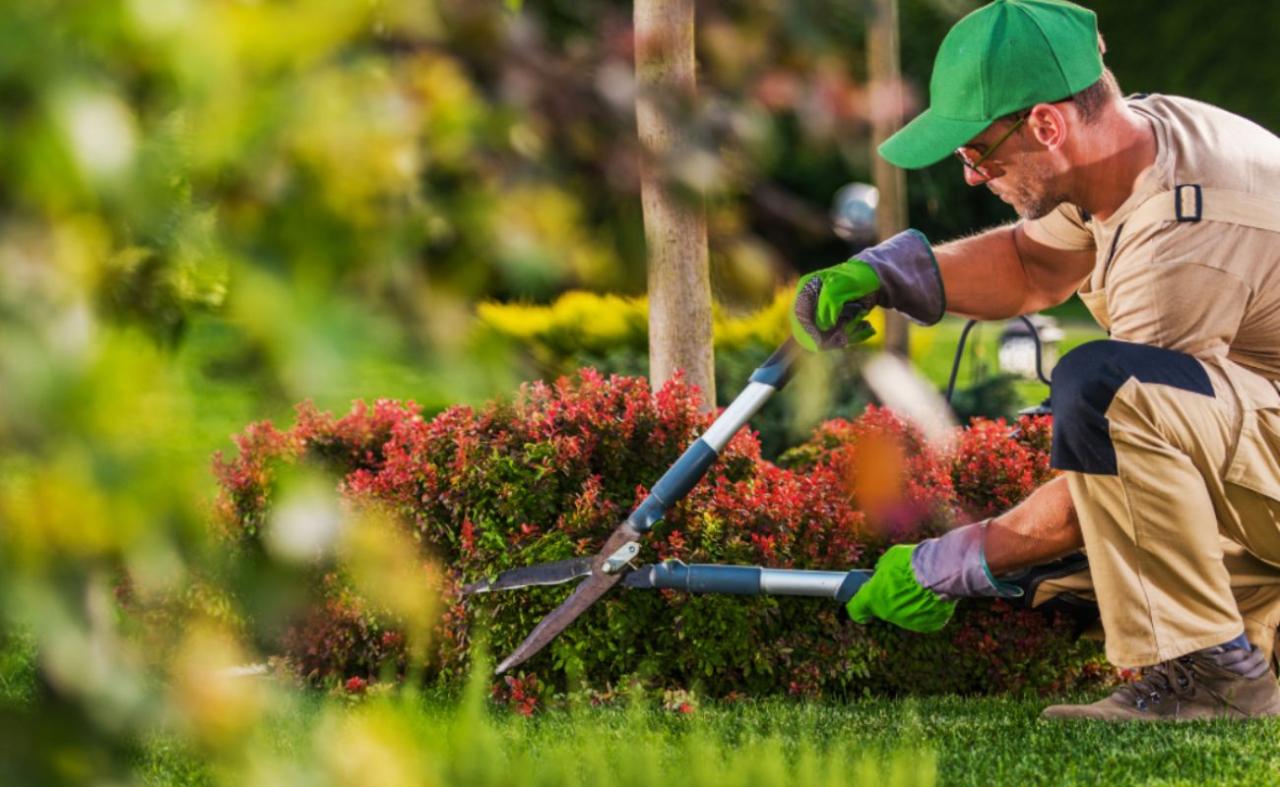 How much can a landscaping business make