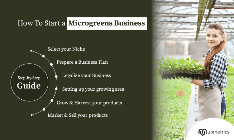 Microgreens microgreen