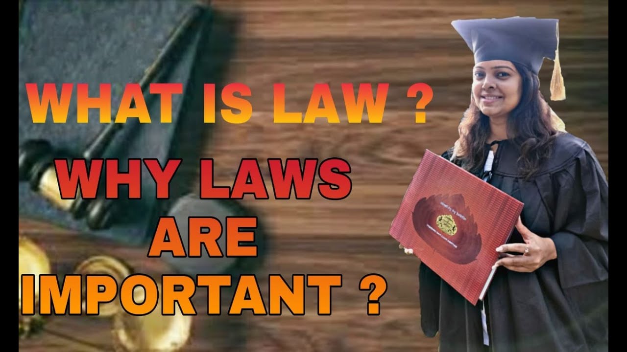 Why is law important in business