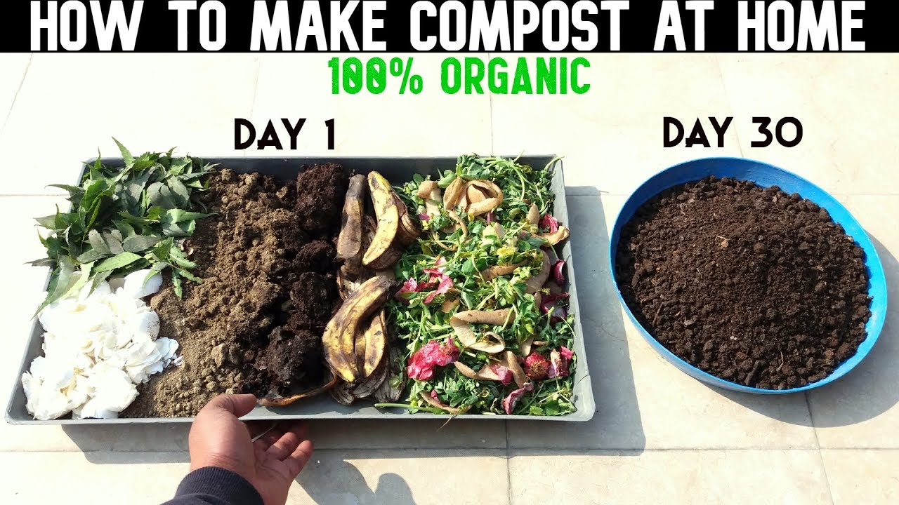 Compost start 2020 basics going back tipa corp rudick rebecca najjar april learn