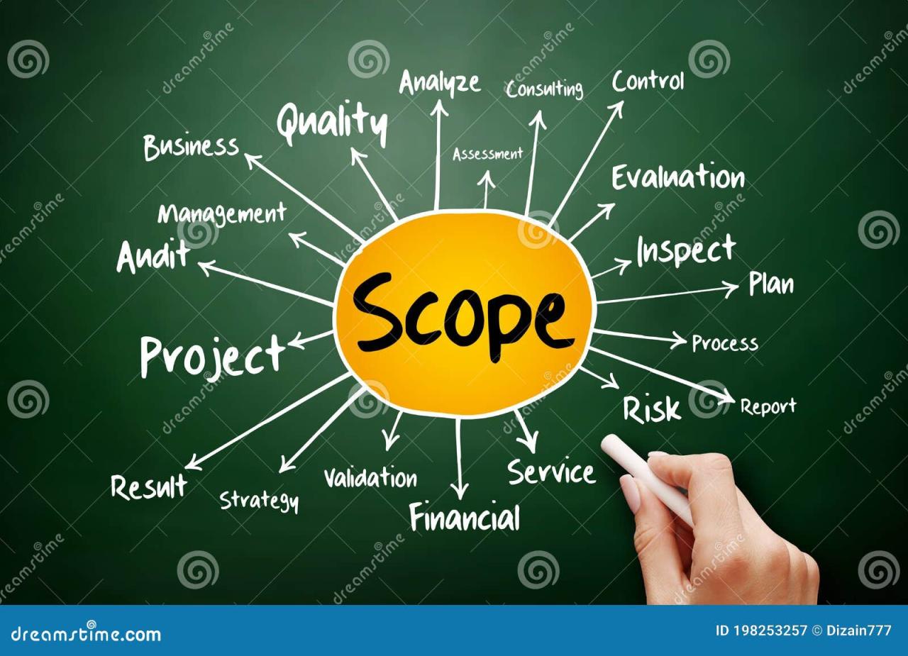 What is scope of a business