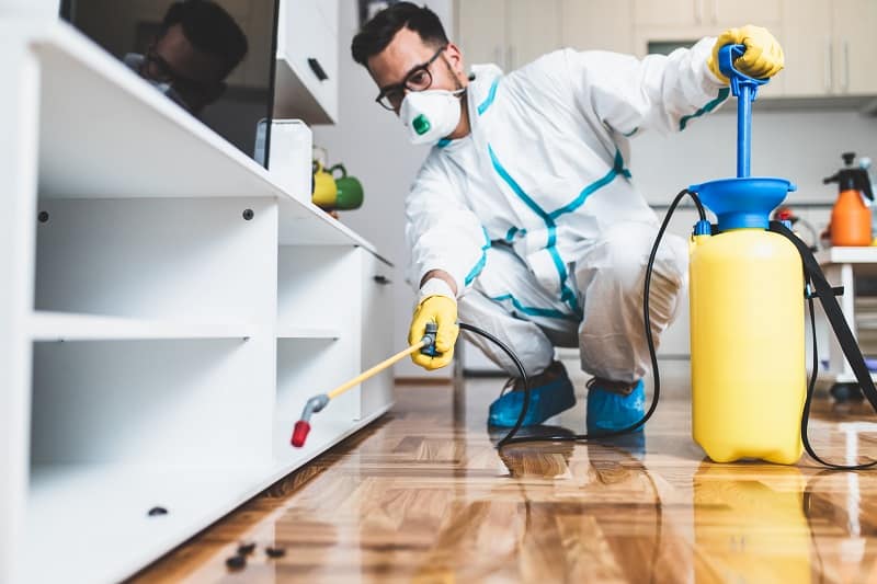 How to start a pest control business in california