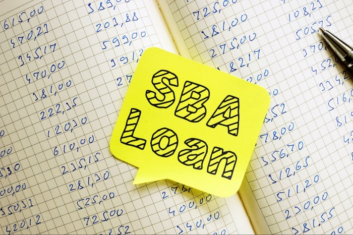 Newity sba loan