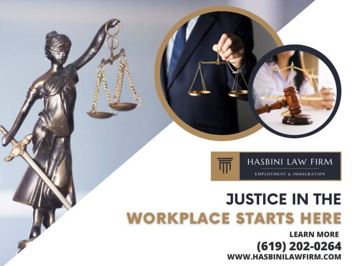 Employment lawyer san diego