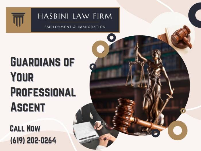 San diego employment lawyer