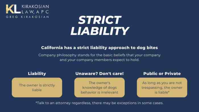 Dog bite lawyer san bernardino