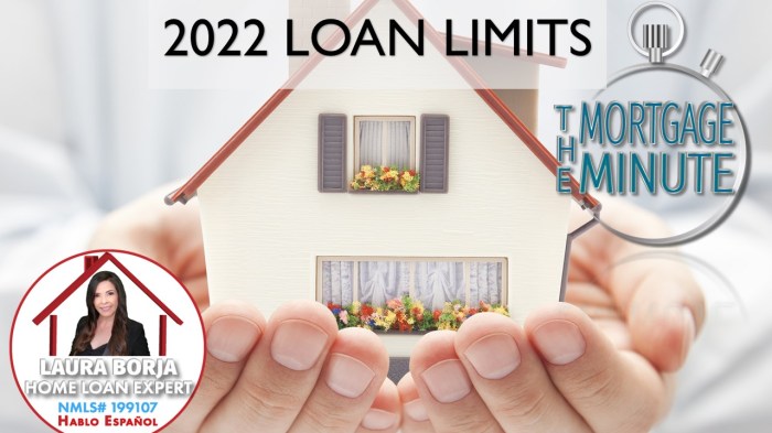 Calvet loan limits 2022