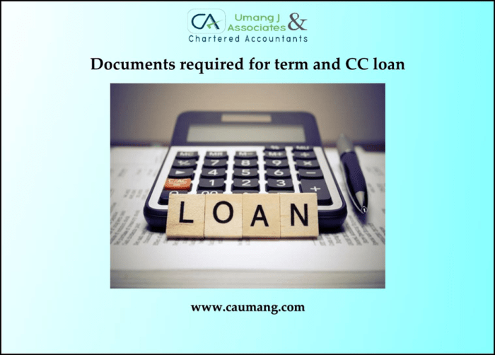 Cc connect total loan services