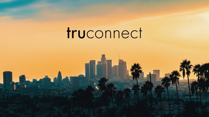 Truconnect loan