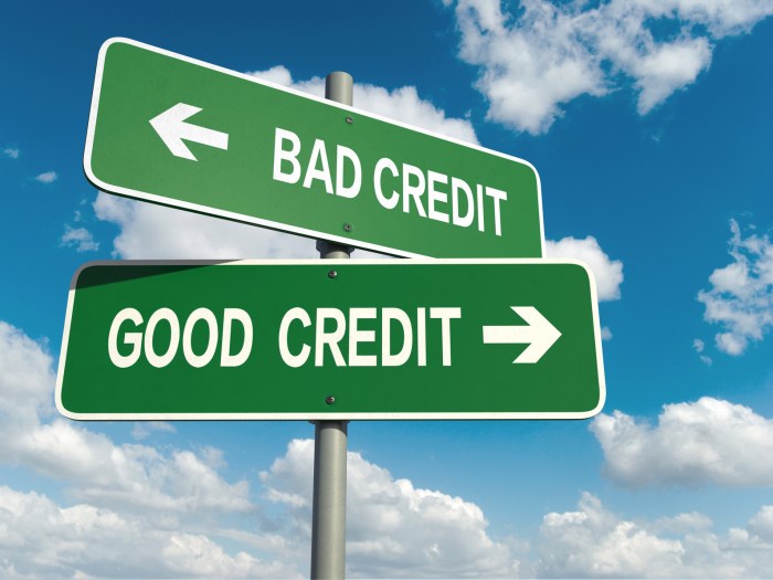 Bad credit loans com review