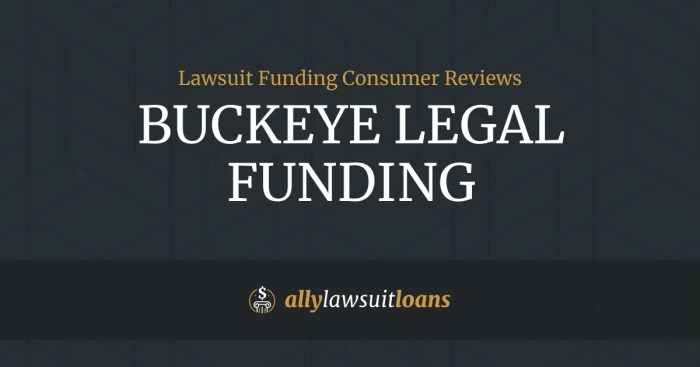 Ally lawsuit loans reviews