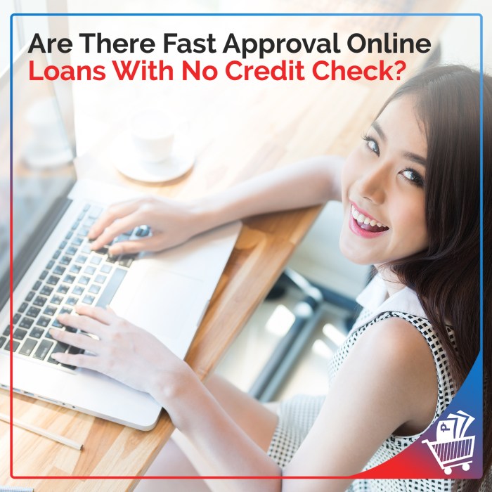 No credit check loans guaranteed approval direct lender near me