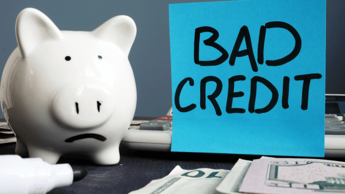 Bad credit loans guaranteed approval georgia