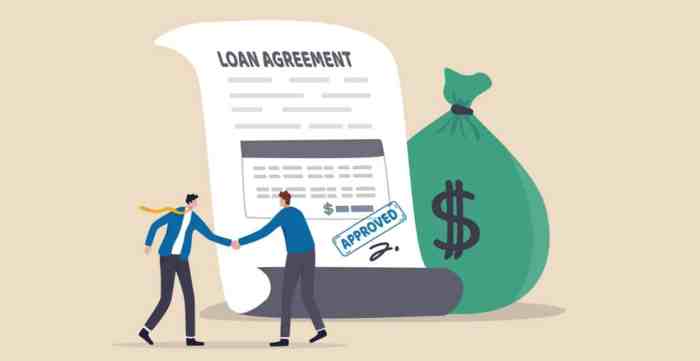 Loans like zoca loans