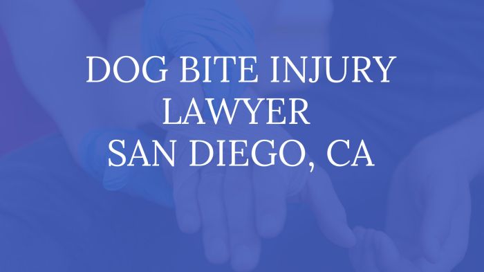 Injury personal diego san lawsuit find