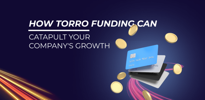 Torro loans