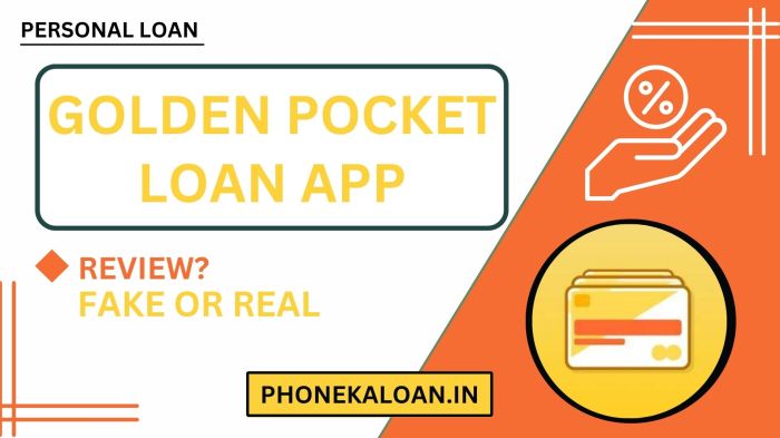 Pocket360 loans