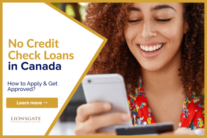 No credit check loans reddit