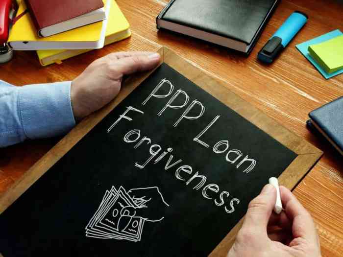 Forgiveness loan forms ppp