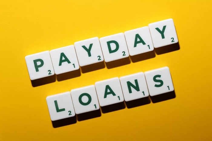 Payday landing loan design professional through click