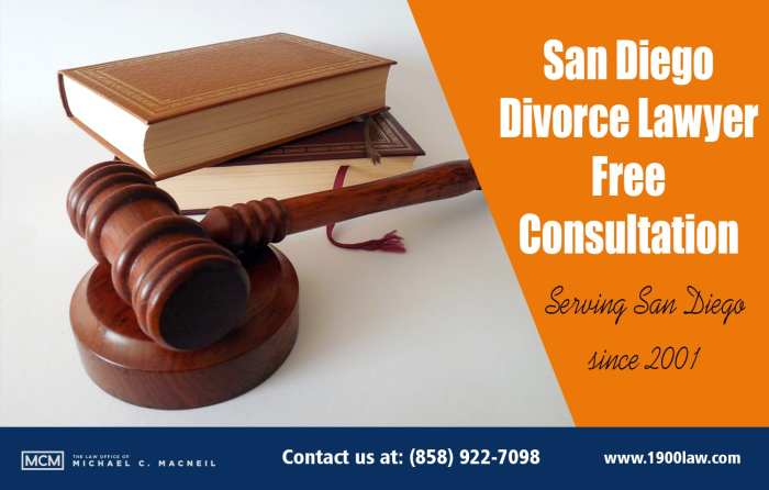 Divorce lawyer consultation questions law attorney macneil