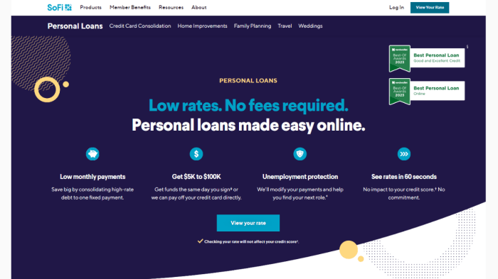 Sofi personal loan denied