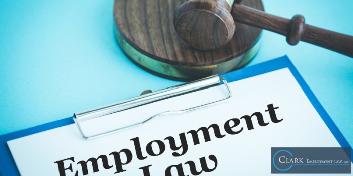 Employment lawyer san diego