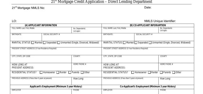 21st mortgage loan application