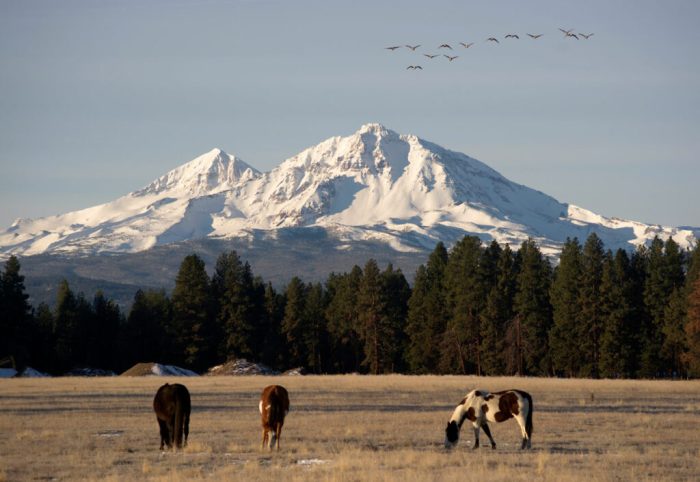 Farm loans oregon